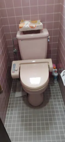 交換前のトイレの記録