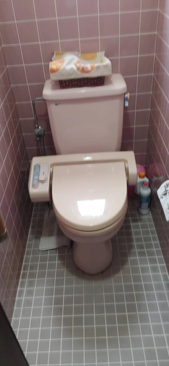 交換前のトイレの記録